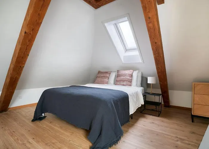 Eagle Charmante Dachgeschosswohnung Mit Design & Ausblick Zürih