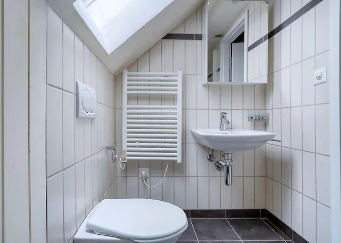 Eagle Charmante Dachgeschosswohnung Mit Design & Ausblick Daire Zürih