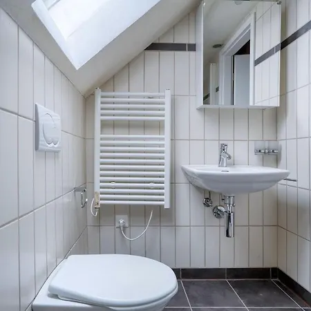 Eagle Charmante Dachgeschosswohnung Mit Design & Ausblick Апартаменти Цюрих
